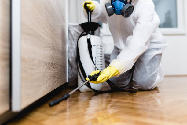 Best Pest Control Near Me  in Winston Salem, NC